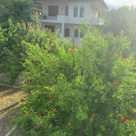 Gritsa Paradise Seaside House Casa vacanze *